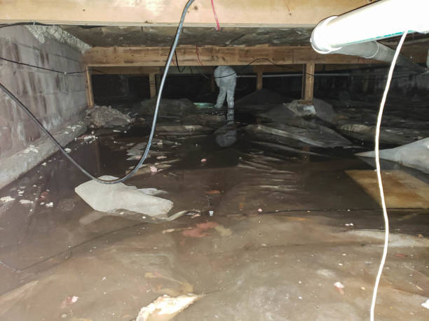 Best Storm and Flood Water Damage Restoration in USA